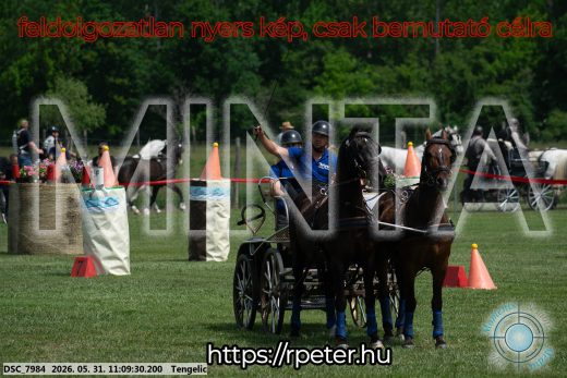 20260531-110930-DSC_7984.jpg
