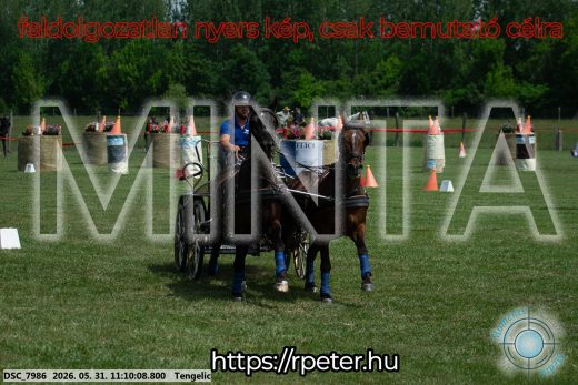 20260531-111008-DSC_7986.jpg