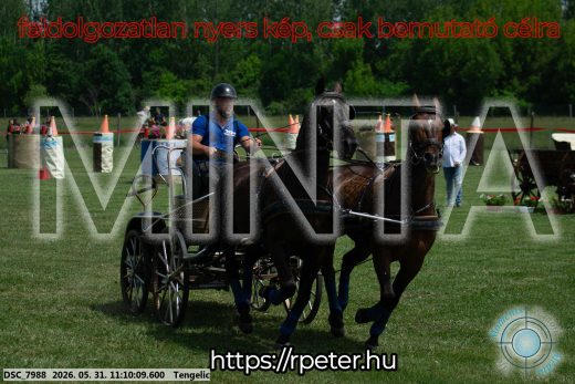 Mintakép 20260531-3030