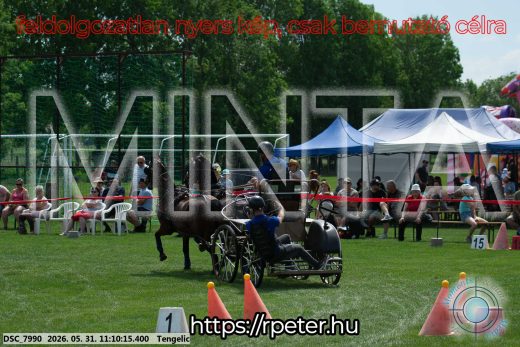 Mintakép 20260531-3032