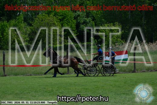 Mintakép 20260531-3033