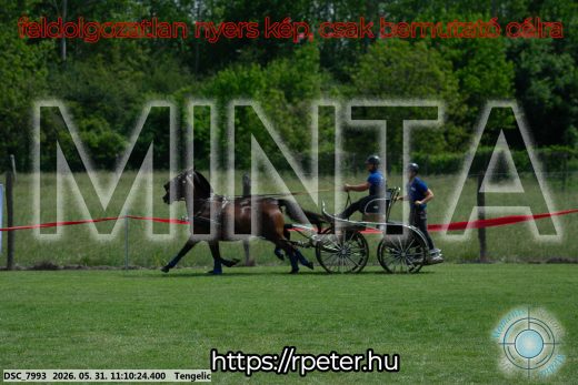 Mintakép 20260531-3035