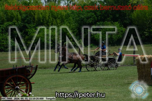 Mintakép 20260531-3037