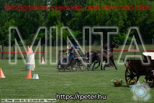 Mintakép 20260531-3038