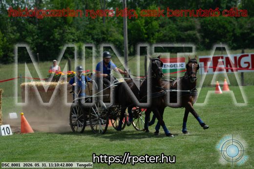 Mintakép 20260531-3043
