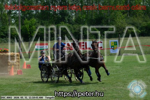 Mintakép 20260531-3044