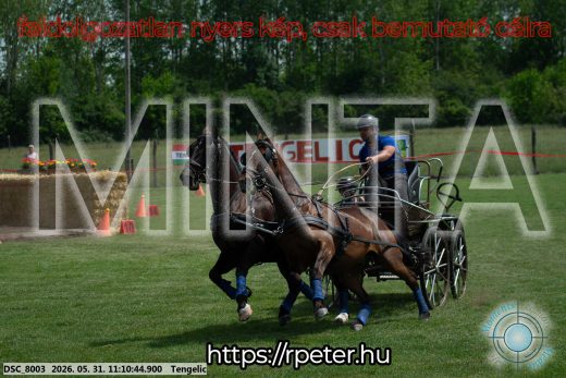 Mintakép 20260531-3045