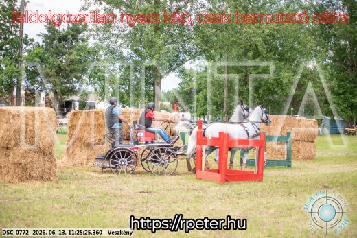 Mintakép 20260613-360