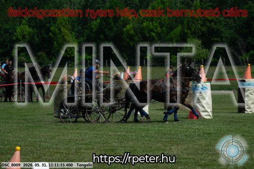 Mintakép 20260531-3051