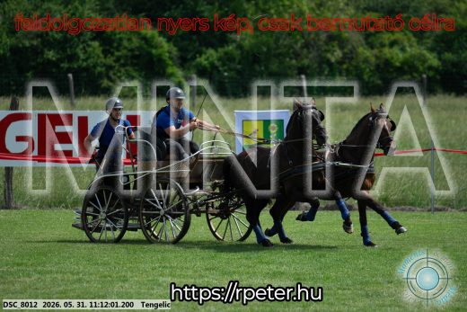 Mintakép 20260531-3054