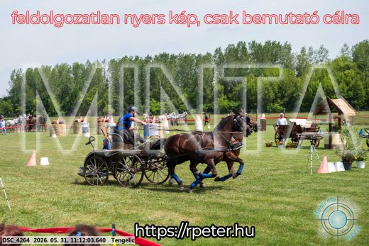 Mintakép 20260531-3056