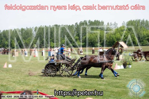 Mintakép 20260531-3057