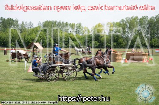 Mintakép 20260531-3060