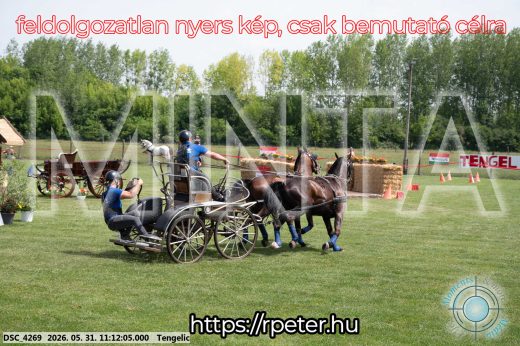 Mintakép 20260531-3061
