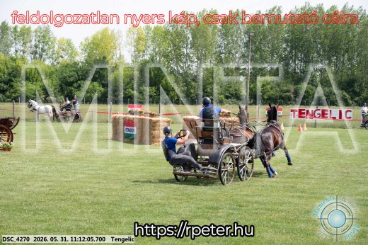 Mintakép 20260531-3062
