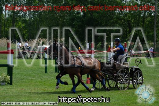 Mintakép 20260531-3064