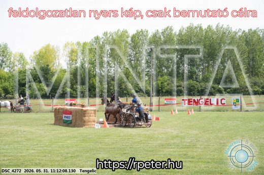 Mintakép 20260531-3065