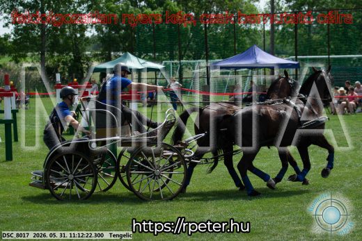 Mintakép 20260531-3067