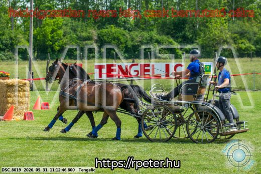 Mintakép 20260531-3068