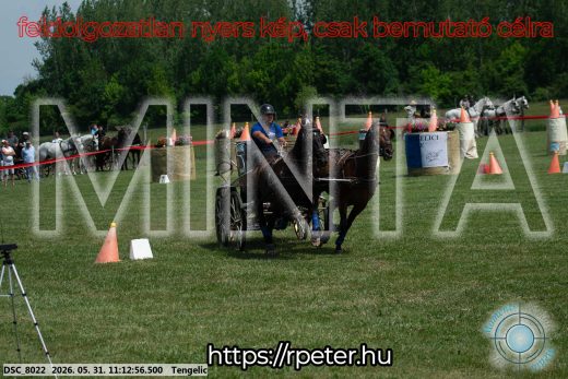 Mintakép 20260531-3069