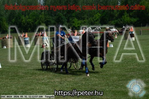 Mintakép 20260531-3071