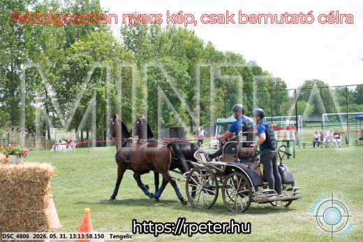 Mintakép 20260531-3074
