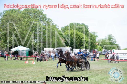 Mintakép 20260531-3075