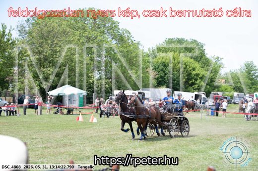 Mintakép 20260531-3076