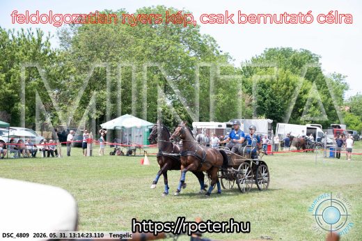 Mintakép 20260531-3077