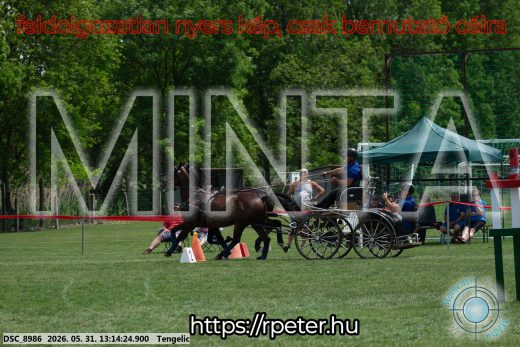 Mintakép 20260531-3078