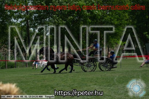 Mintakép 20260531-3079