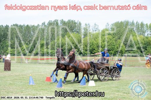 Mintakép 20260531-3082