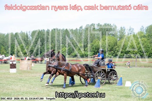 Mintakép 20260531-3083