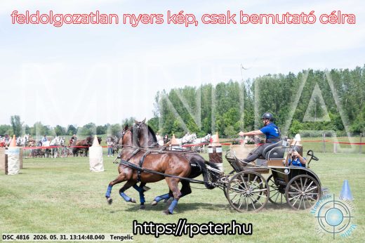 Mintakép 20260531-3084