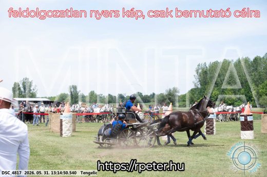 Mintakép 20260531-3085