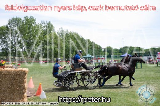 Mintakép 20260531-3091