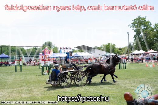 Mintakép 20260531-3093