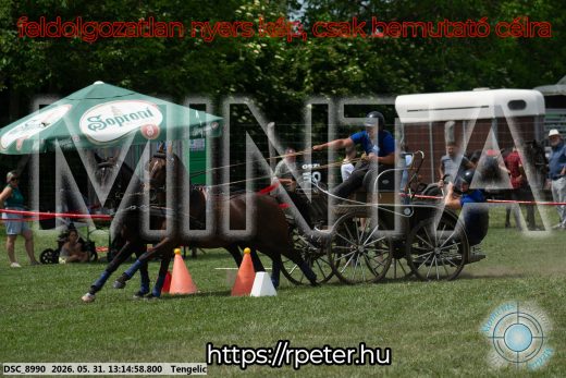 Mintakép 20260531-3094