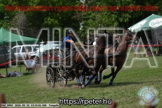 Mintakép 20260531-3095