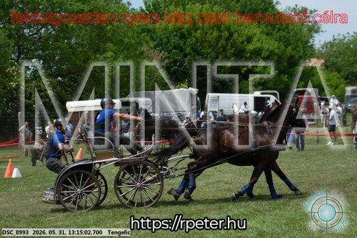 Mintakép 20260531-3098