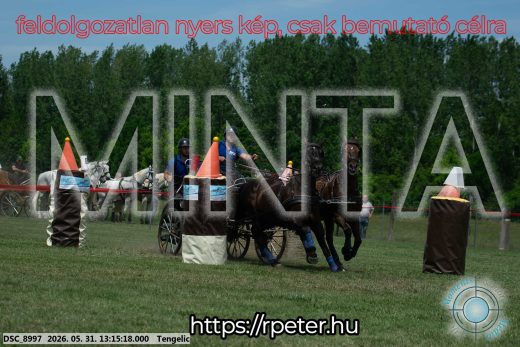Mintakép 20260531-3100