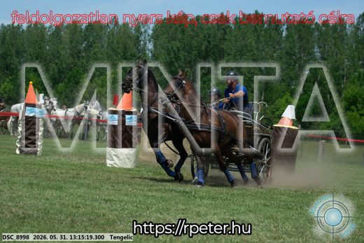 Mintakép 20260531-3101