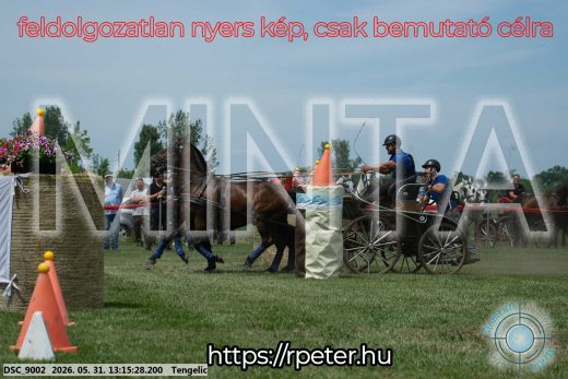 Mintakép 20260531-3104