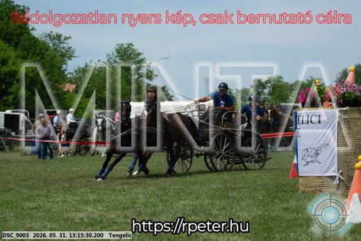 Mintakép 20260531-3105