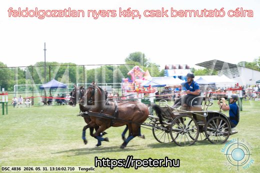 Mintakép 20260531-3109