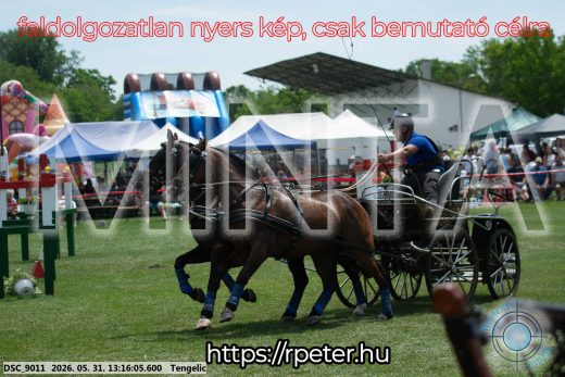 Mintakép 20260531-3112