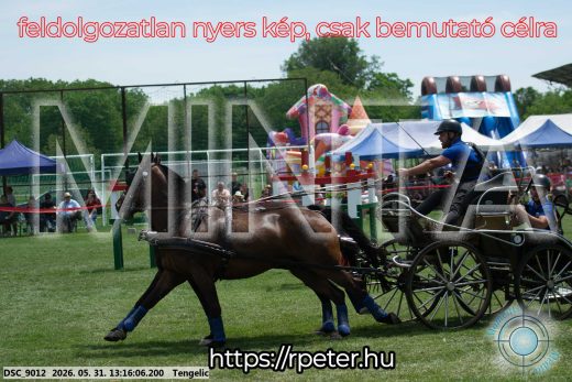 Mintakép 20260531-3114