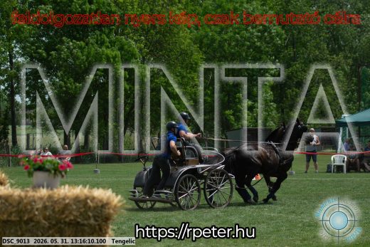 Mintakép 20260531-3117