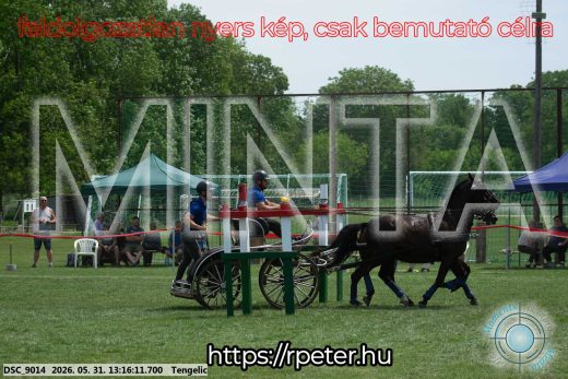 Mintakép 20260531-3118