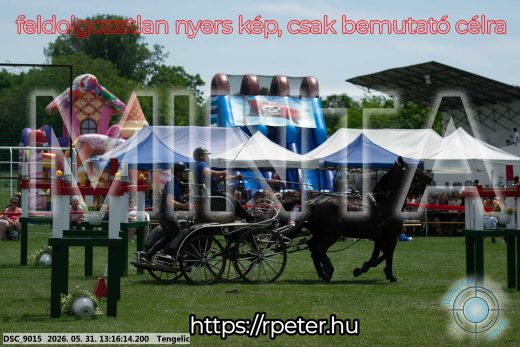 Mintakép 20260531-3119